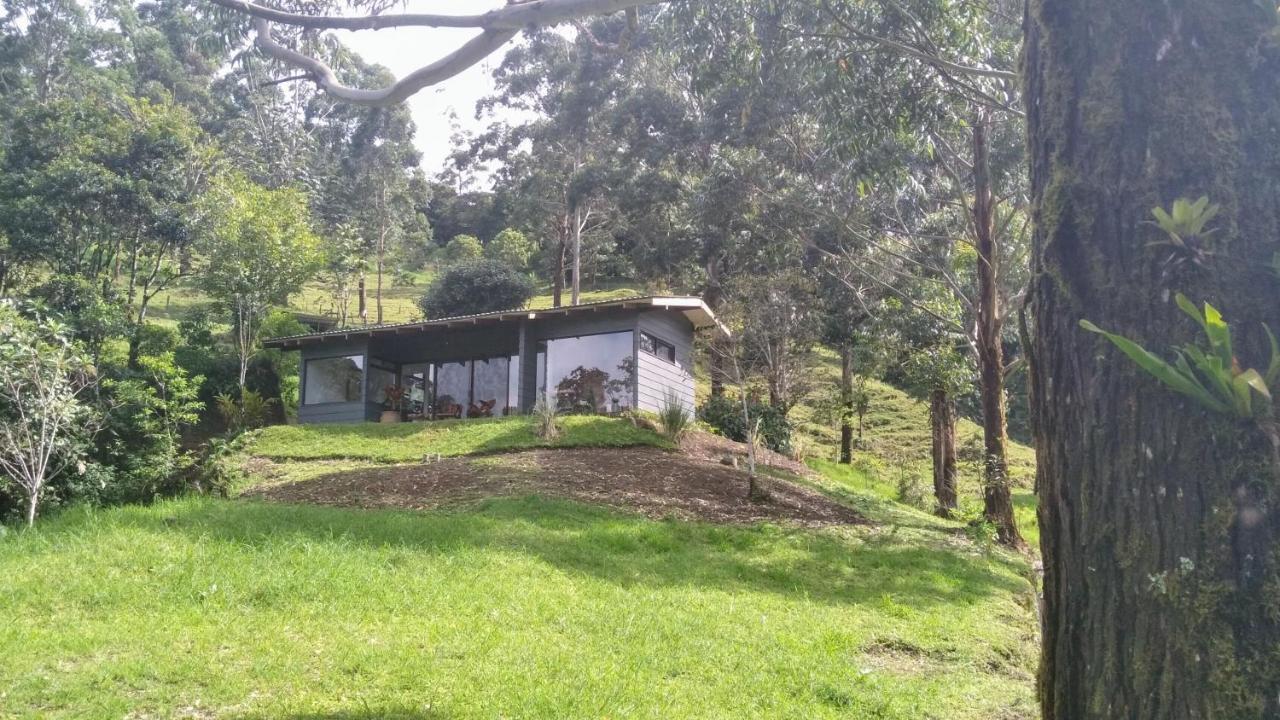Olingo Monteverde Exterior foto